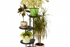 Подставка для цветов (венге)