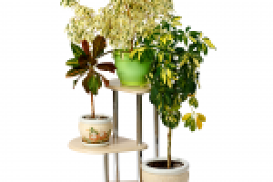 Подставка для цветов (дуб)