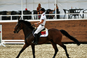 Конный спорт