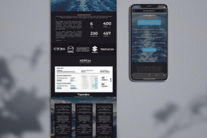 SEO-студия - podvijka