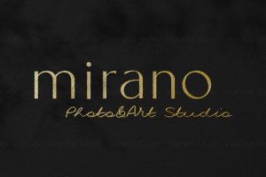 Логотип и фирменный стиль для арт-галереи в Чехии