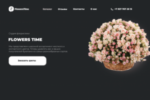 Работа для портфолио