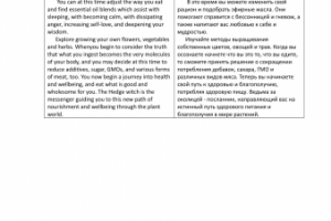 Художественный перевод