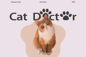 Cat Doctor | Дизайн сайта