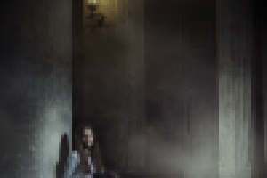 Работа 2512485