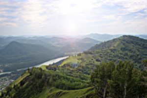 Работа 2512483