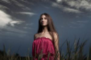 Работа 2512481