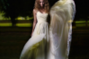 Работа 2512478