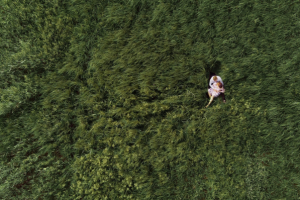 Работа 4117804