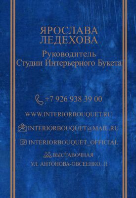 img3400306.png