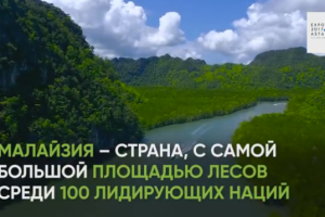 Сценарий ролика для павильона Малайзии на EXPO 2017