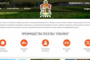 LP для ecoolgino.ru