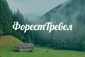Верстка сайта "Форест Тревел" по макету Figma