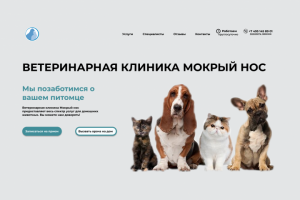 Дизайн лендинга