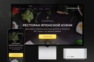 Создание продающего лендинга / интернет-магазина