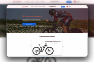Интернет магазин "Велодрайф"