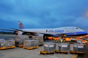 Продвижение сайта транспортной компании в Москве