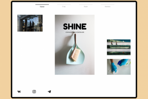 Лендинг компании "Shine"