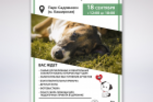 #СобакиКоторыеЛюбят