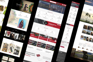 Превью работ Веб-дизайн