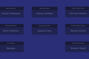 #NVJOB Name Generator Pro (Unity Asset)