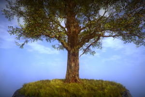 #NVJOB STC8 Pro (Advanced Shader for Unity SpeedTree 8)