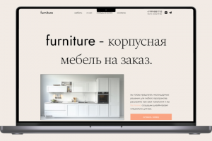 Концепт главной страницы сайта – мебель на заказ
