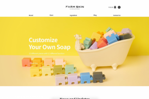 Интернет-магазин и блог, встроенные в промо-сайт