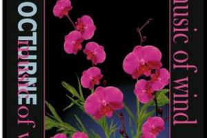 пакет ноктюрн