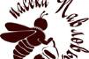 Работа 4387579