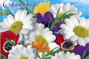 Работа 4387962