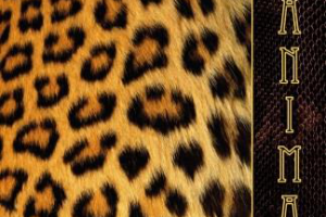 Работа 4387988