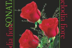 Работа 4387985