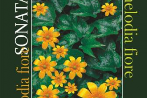 Работа 4387984