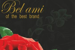 Работа 4387964