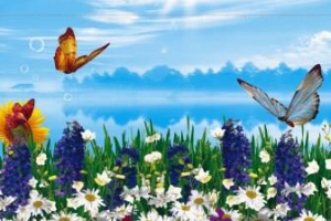 Работа 4387949