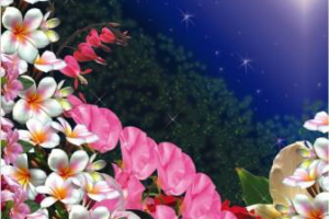 Работа 4387942