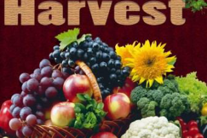 Работа 4387939