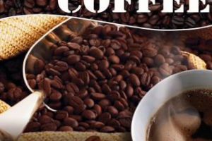 Работа 4387925