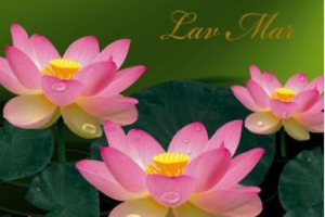 Работа 4387919