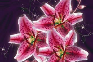 Работа 4387880