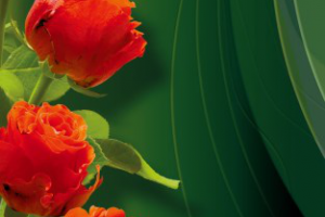 Работа 4387876