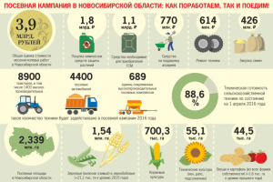 Посевная  компания в НСО