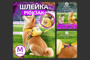 Карточка для шлейки