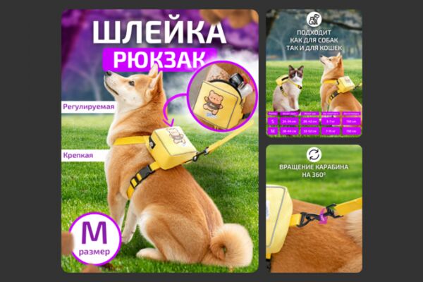 img4475901.png