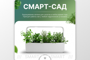 Креатив для смарт-сада