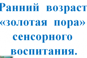 Развитие сенсорных способностей детей раннего возраста