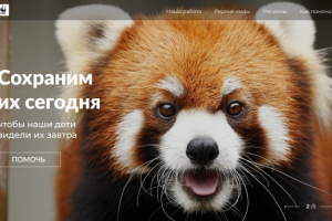 Концепт WWF