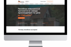 Разработка сайта "Стройпенобетон"