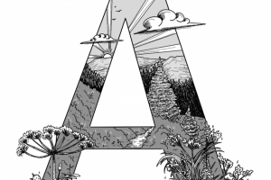 Буквица для начала абзаца